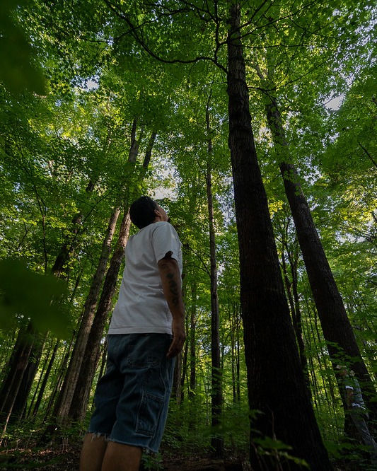 June 26 Summer Sunset Forest Therapy Walk