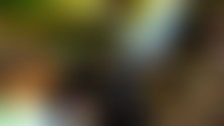 Through the Eyes of a Child