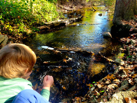 Through the Eyes of a Child