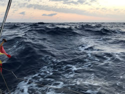EXPERIENCIAS NAUTICA COLABORATIVA
