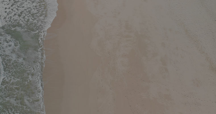 noah-boyer-mXz8dKrpO8w-unsplash_edited.j