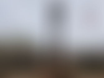 Myanmar's Spring Revolution: Understanding the Forces Fighting for Democracy