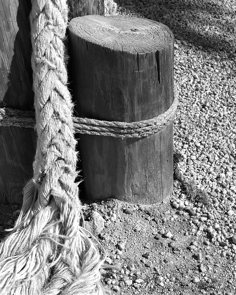 Old Rope On Piling Florida Keys