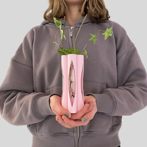 Vermehrungsvase für Stecklinge – Pflanzenvermehrung – Home-Deko & Geschenkidee