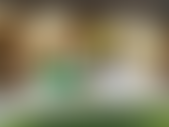 Adiós a la atracción de “Shrek” en Orlando