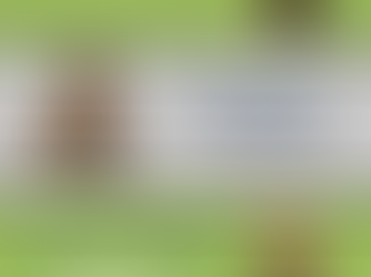 Los villanos de la saga