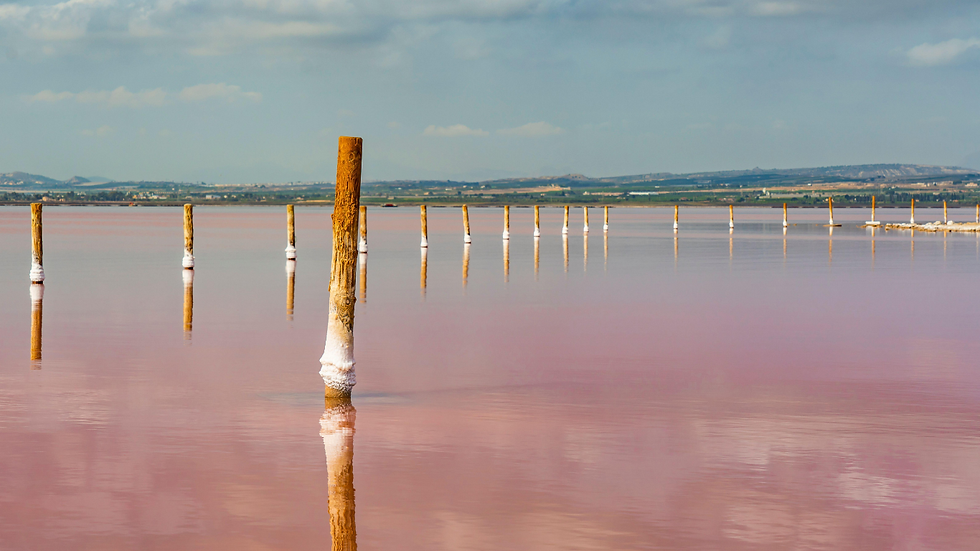 Le lac Rose de Torrevieja