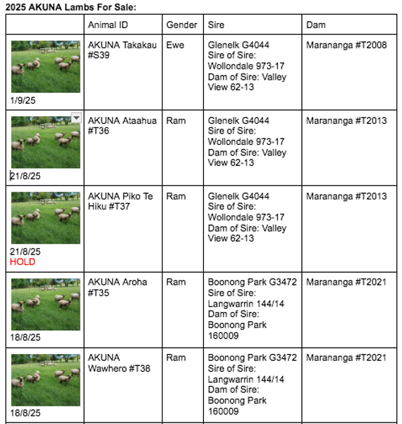 Screen Shot 2025-12-20 at 10.45.40 pm.png