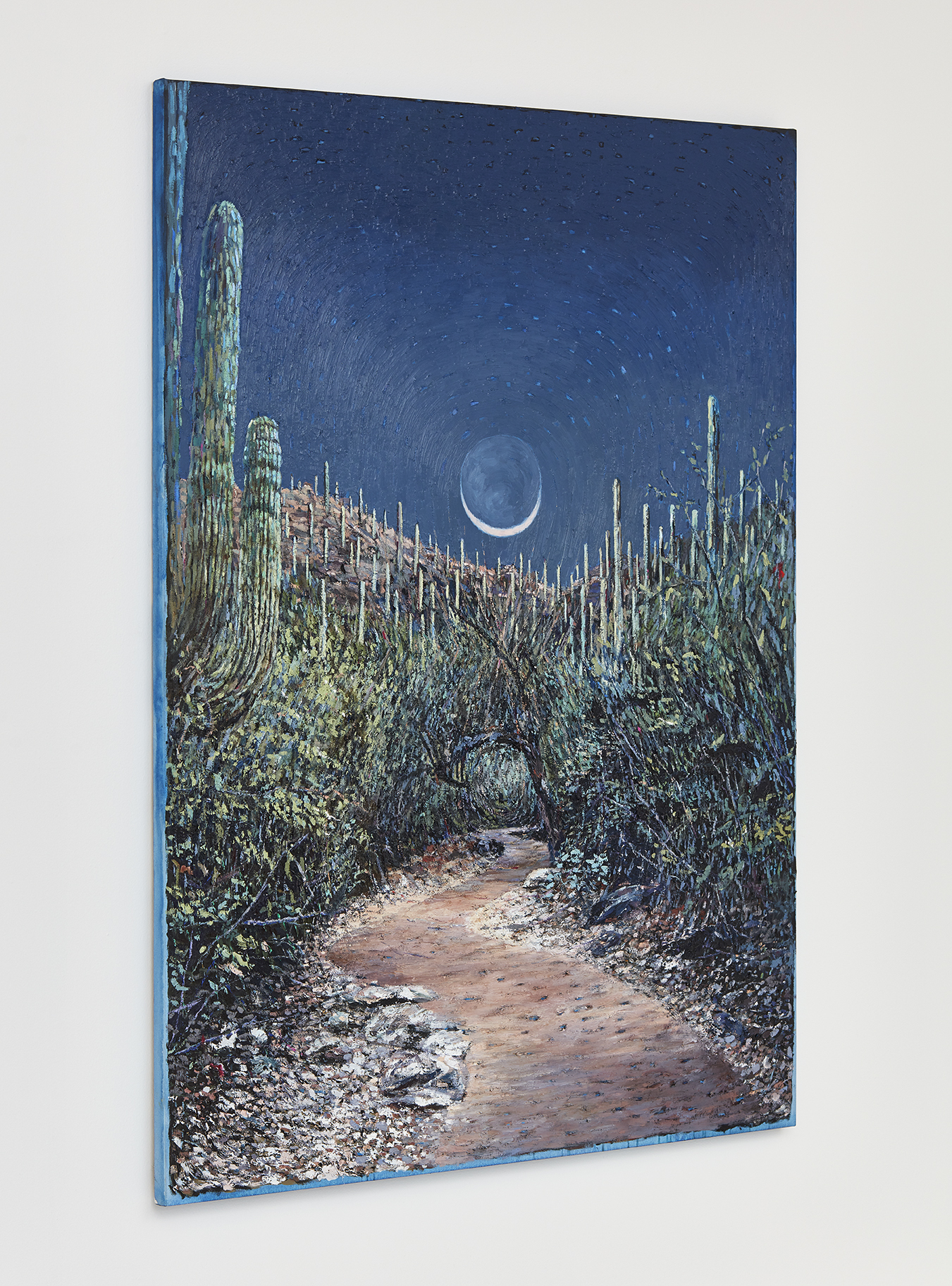 Wet Moon, Clear Path (Tucson)