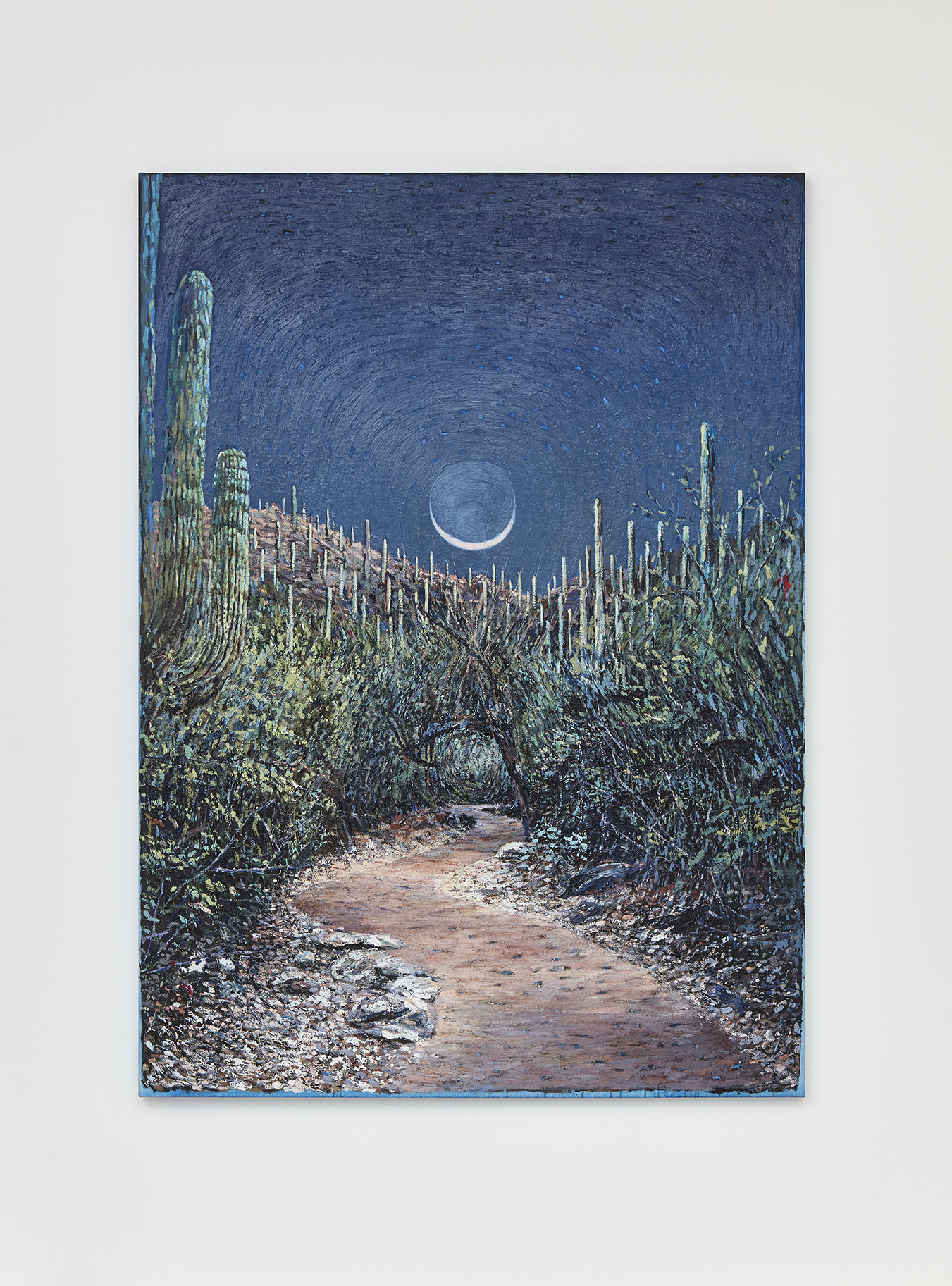 Wet Moon, Clear Path (Tucson)