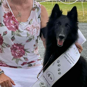 Best of breed at the BSDCC Booster and Group 4