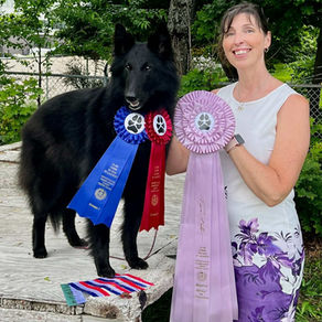 Reserve Best in Show!