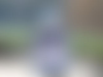 January Update – Subscriptions please and a Public Meeting