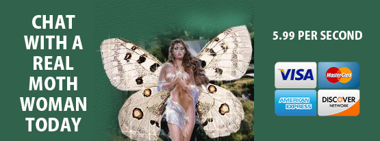 Moth Women Chat