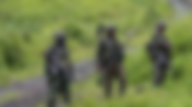Democratic Republic of the Congo Country Report March 2024