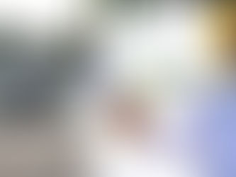 Versión de los comentarios que formuló Ramírez Marín sobre el “Paso deprimido”