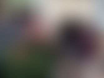 Apoyan a mujeres emprendedoras con la creación del “tianguis de plantas”