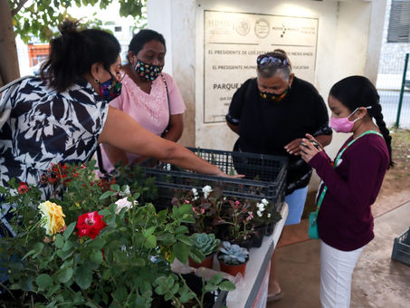 Apoyan a mujeres emprendedoras con la creación del “tianguis de plantas”