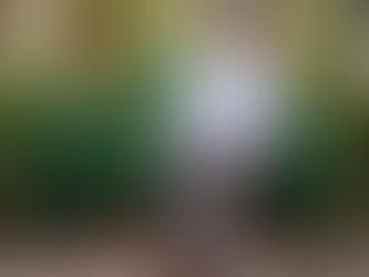 ‘Este tiempo’: La última canción escrita por Armando Manzanero