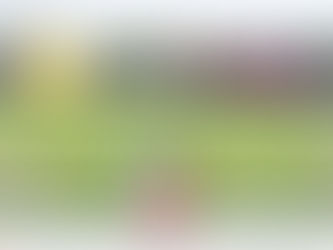 Sigue la debacle en Liga de Balompié, cuatro equipos más se dan de baja