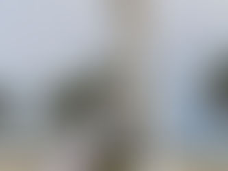 Julián Zacarías Curi conmemora el 217 aniversario del natalicio de Juan Miguel Castro Martin