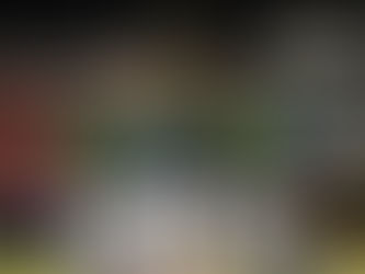 Leones de Yucatán aseguran la serie al ganar 17 carreras por 1 frente a los Guerreros de Oaxaca