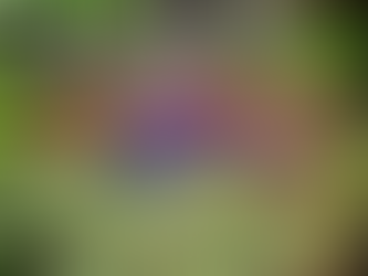 QUEDÓ SIN VIDA Y CON AMPUTACIÓN DE PIE