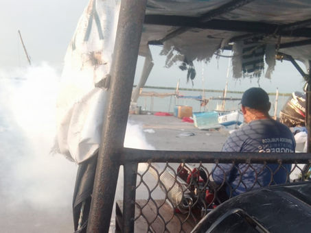 La Subdirección de Ecología realiza esterilizaciones y fumigación durante este fin de semana