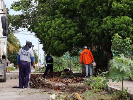 MÁS DE 16 TONELADAS DE BASURA FUERO RECOLECTADAS EN CALLES DE CHICXULUB PUERTO