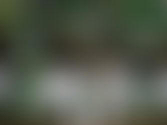 Explosivo arranque melenudo en los Playoffs