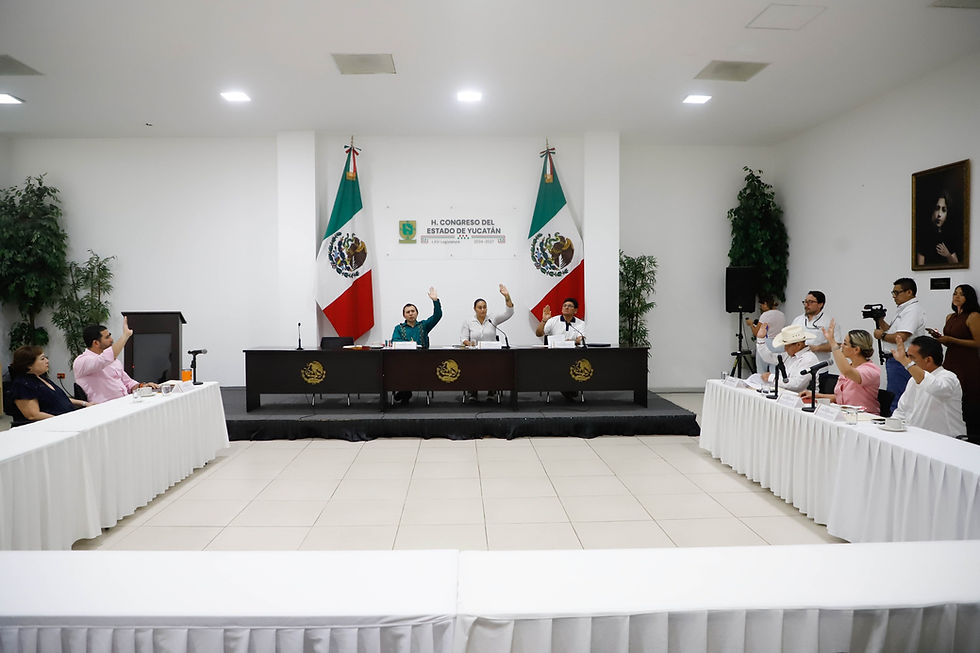APRUEBAN EN COMISIÓN REFORMA CONSTITUCIONAL SOBRE SALUD MENTAL Y SEGURIDAD ALIMENTARIA EN YUCATÁN