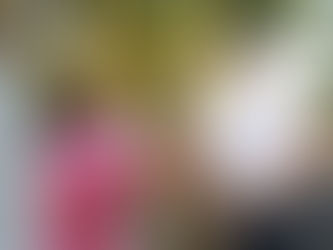 Con más empleos en Yucatán, saldremos adelante: Erik Rihani