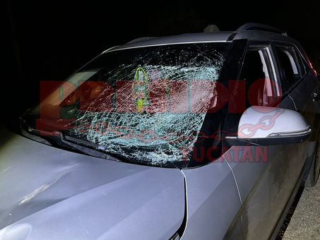 ATROPELLADO Y SIN VIDA