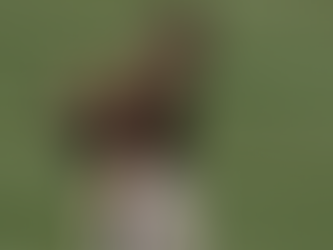 FERNANDO TATÍS JR. TIENE FRACTURA EN LA MUÑECA