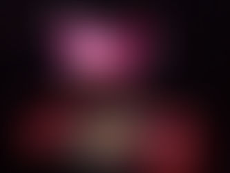 Los Raptors iniciarán la temporada en Florida