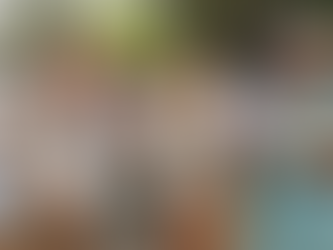 PRESENTAN PRIMEROS AMPAROS CONTRA DEVASTACIÓN DE SELVA EN TRAMO 5 DEL TREN MAYA