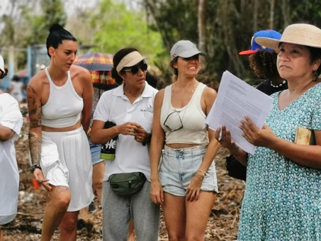 PRESENTAN PRIMEROS AMPAROS CONTRA DEVASTACIÓN DE SELVA EN TRAMO 5 DEL TREN MAYA