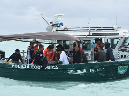 LIBERAN DELFÍN QUE VARÓ EN MALECÓN DE PROGRESO