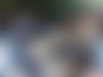 LABORES DE LIMPIEZA E ILUMINACIÓN EN CHELEM PUERTO