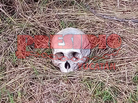 SE TOPARON CON UN CRÁNEO