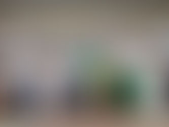 PRIMER COMITÉ ESTATAL JUVENIL DEL PVEM EN YUCATÁN