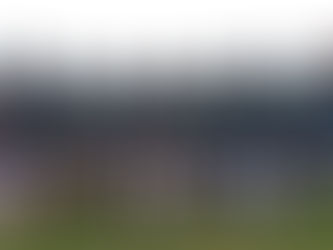 La Academia de los Leones en la élite mundial