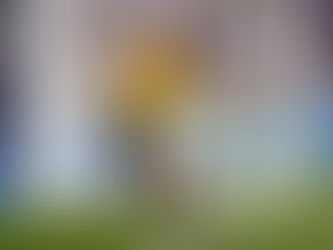 Raúl Jiménez regresó de titular a la Premier