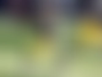 Acereros confían en contar con 'Big Ben' el domingo