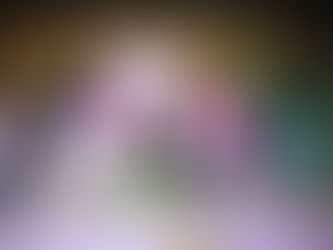 Tekax es el primer municipio en contar con Casa de Emergencia para Mujeres en Situación de Violencia