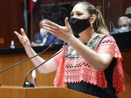 Piden a senadora Verónica Camino Farjat una disculpa pública a las mujeres