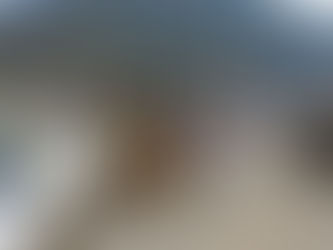 MAMÁ HABRÍA CALCINADO A SUS SEIS HIJOS MIENTRAS DORMÍAN; CRIMEN CONMOVIÓ A OAXACA