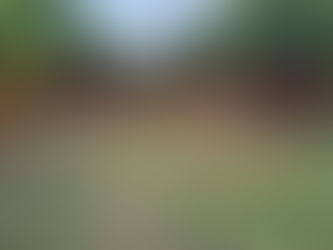 HOMBRE TIRADO Y SIN VIDA