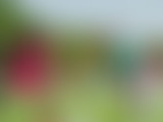 León se despide de la Concachampions, luego de caer ante el Toronto FC