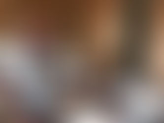 Somos un partido responsable, garante del cumplimiento de nuestras leyes, Francisco Torres Rivas